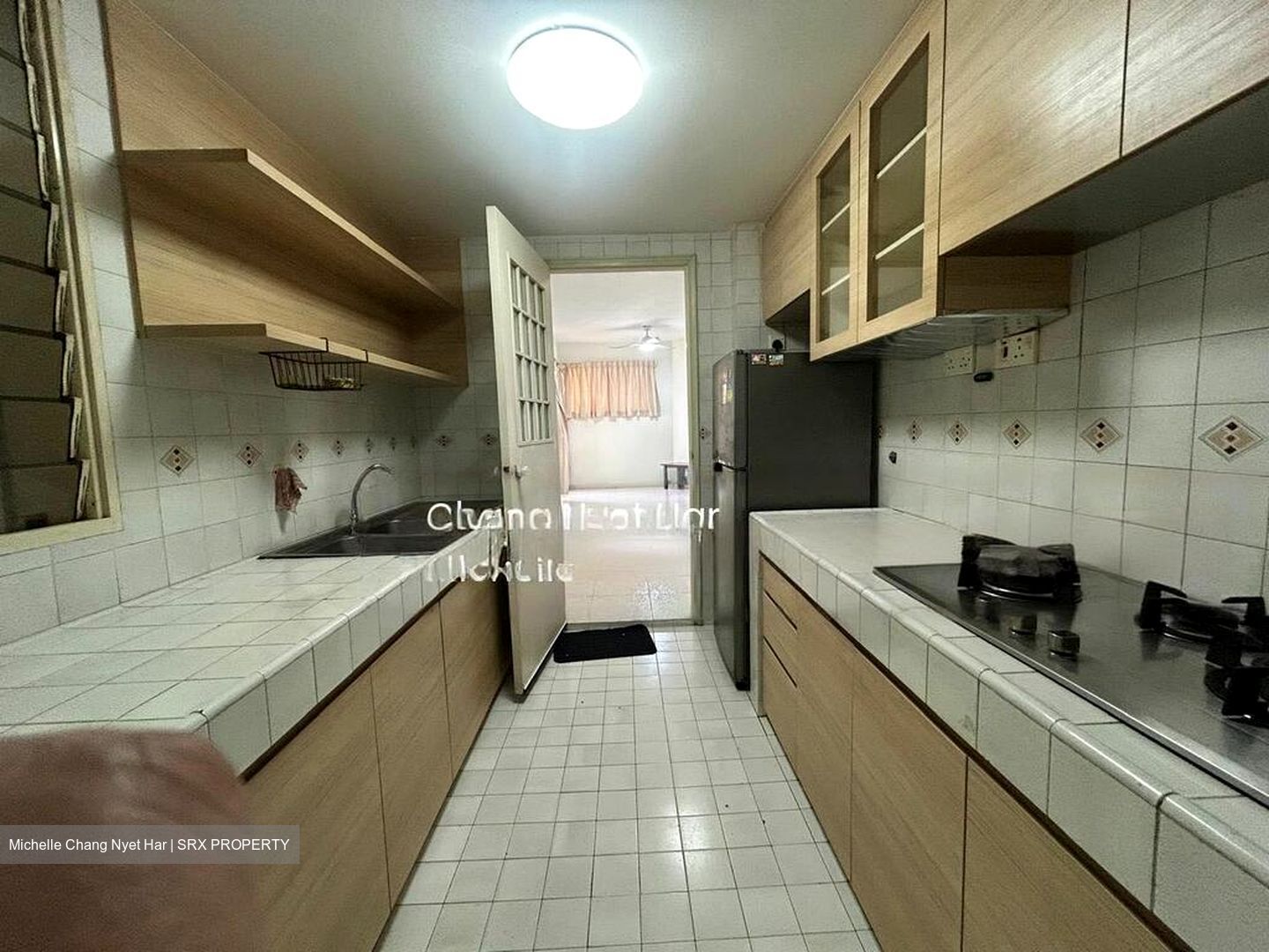 Bullion Park (D26), Condominium #482108821